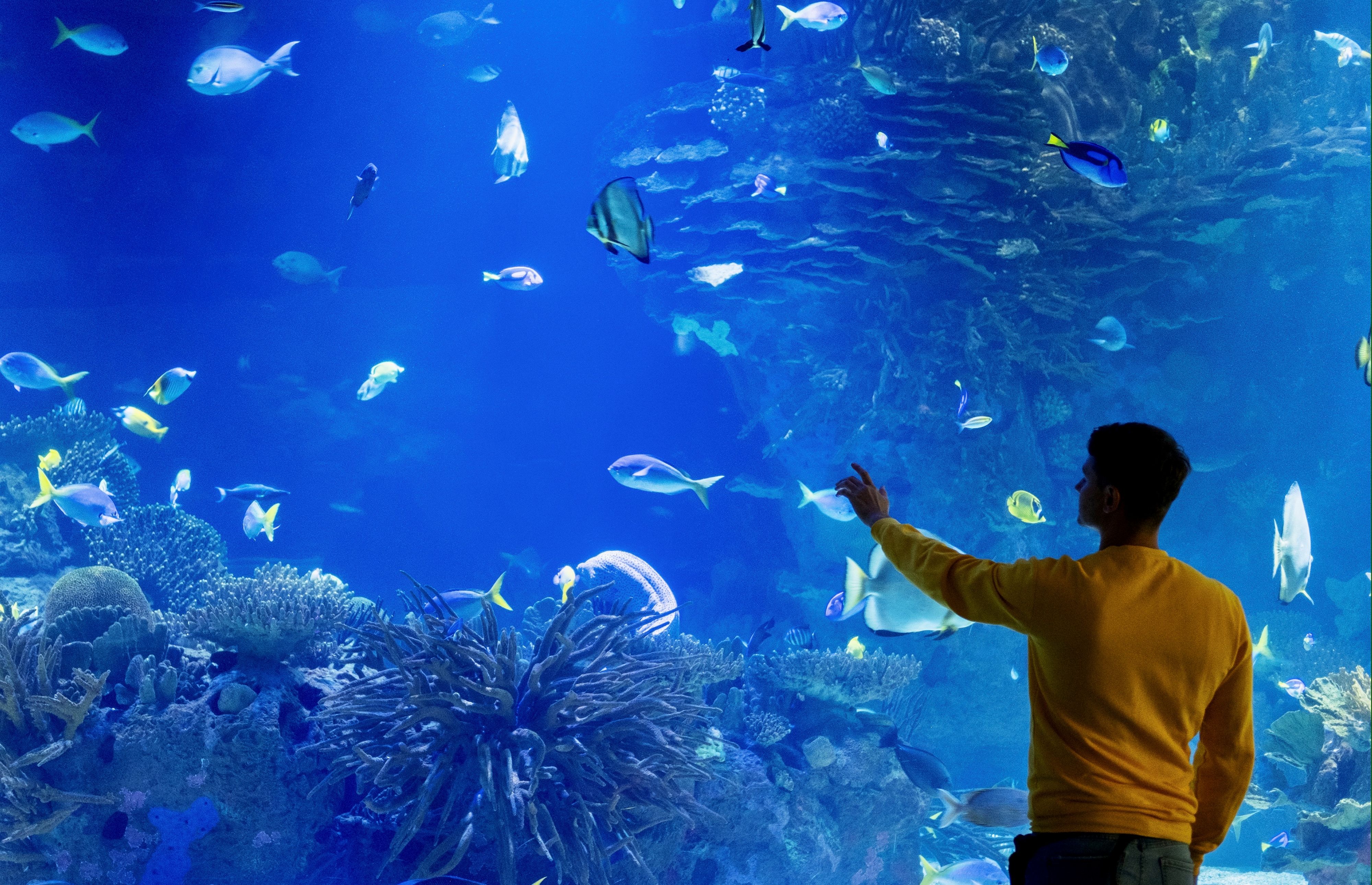 Hurghada