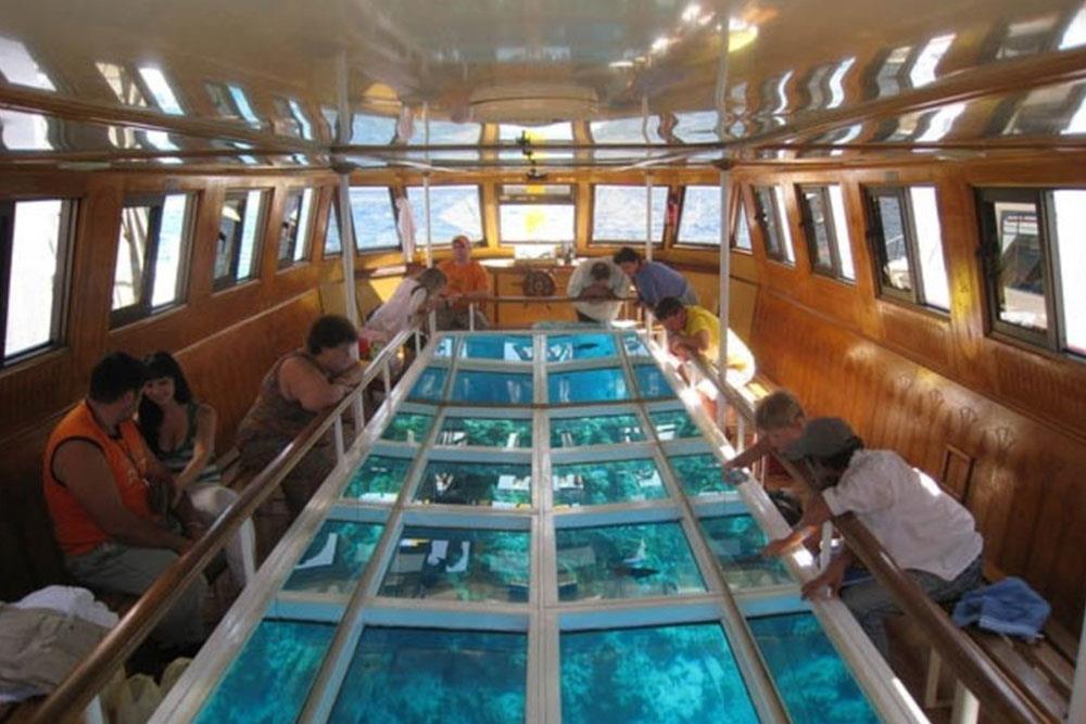 Sharm el Sheikh Glass Bottom Boat Trip