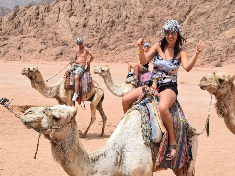 Camel Ride & Bedouin Tea in Sharm